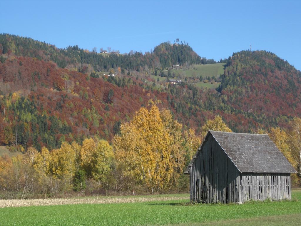 Haus Moser Wörschach Esterno foto